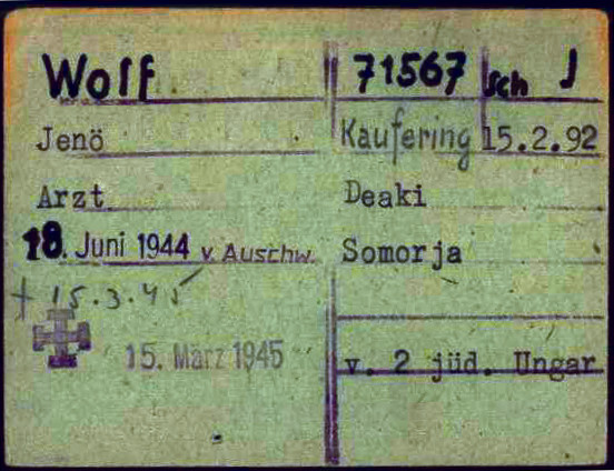 Wolf Jenő orvos kartonja. Meghalt 1945. március 15-én Kauferingben, 53 évesen